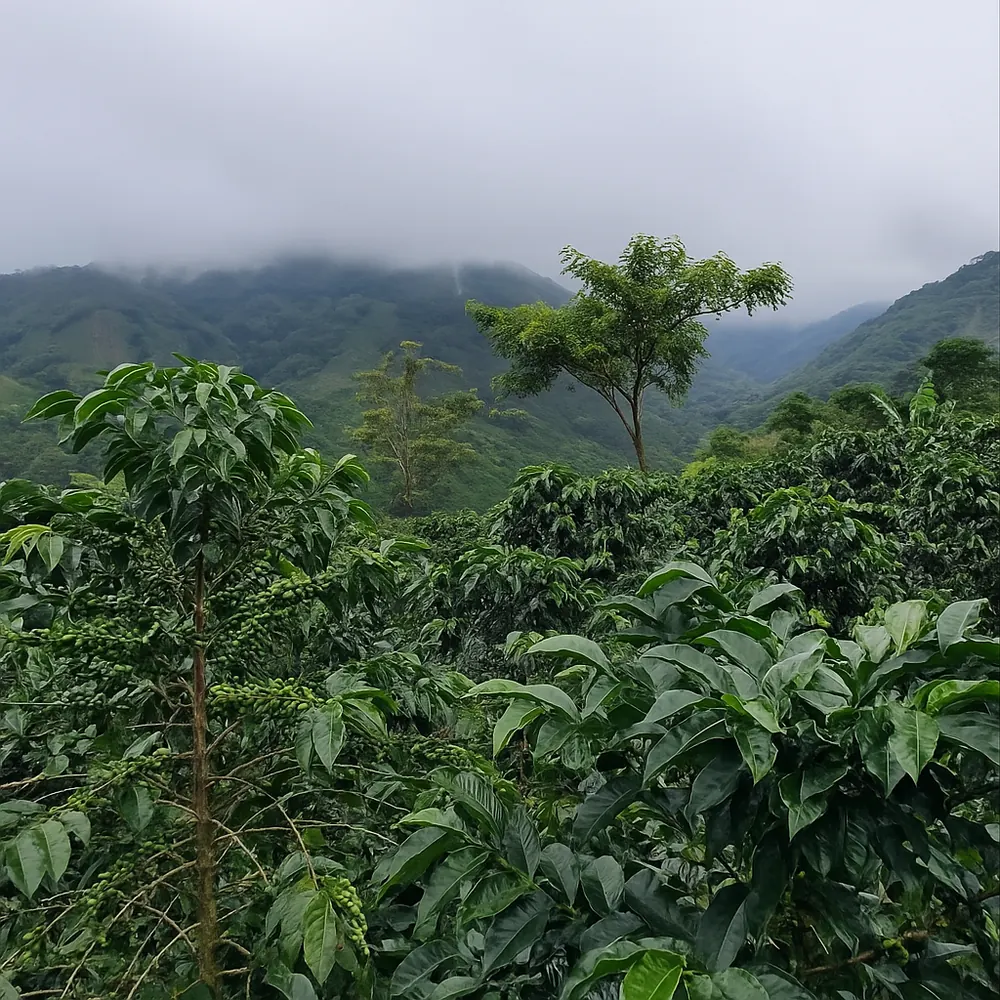 Colombia